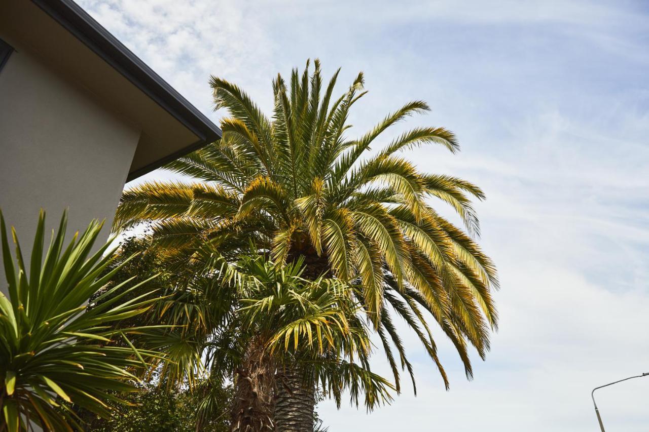 Blenheim Palms Motel Kültér fotó